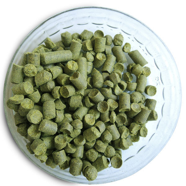 Northern Brewer Hop Pellets - 1 oz.