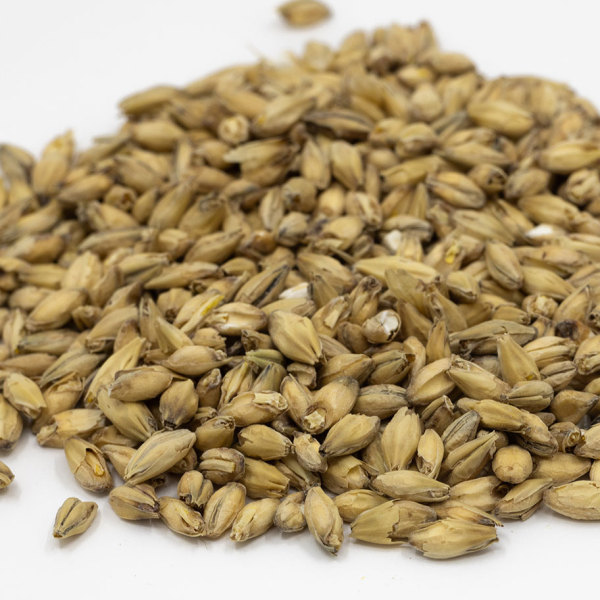 Briess 2-Row Malt