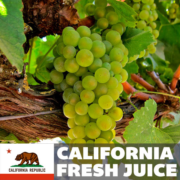 Malvasia Bianca Fresh Juice, 6 gallons