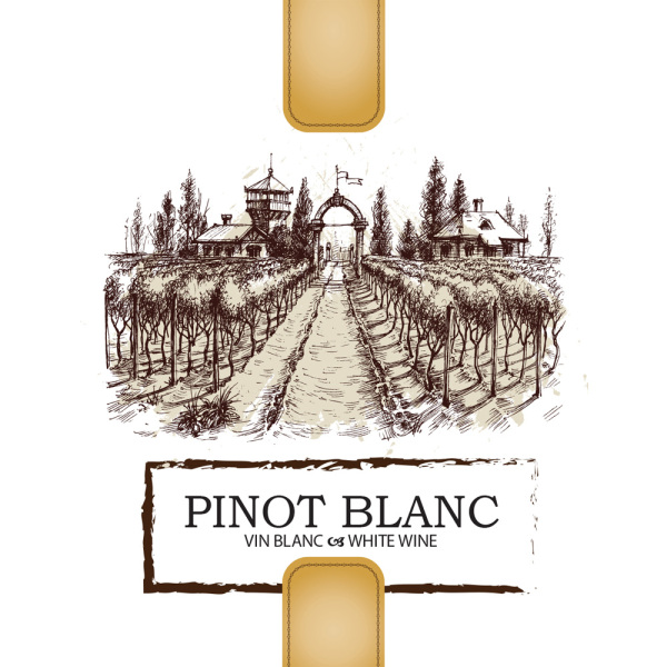 Pinot Blanc Self Adhesive Wine Labels, pkg of 30