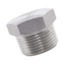 1/2 in. MPT Stainless Steel Plug