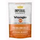 A05 Voyager - Seasonal Strain - Imperial Yeast