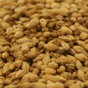 Avangard 2-Row Pale Malt