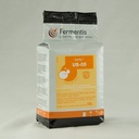 Fermentis SafAle US-05 American Ale Yeast - (500 g)