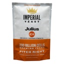 IMPA34 - A34 Julius - Seasonal Strain - Imperial Yeast