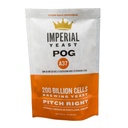 Imperial Yeast A37 Pog Seasonal Strain